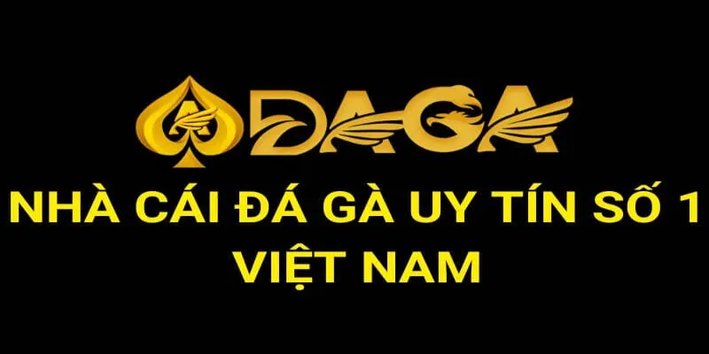 Tổng quan một vài thông tin chi tiết về đá gà tại Daga 