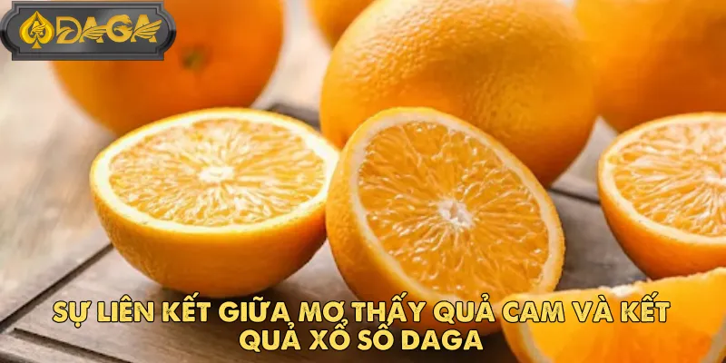 Sự Liên Kết Giữa Mơ Thấy Quả Cam Và Kết Quả Xổ Số DAGA