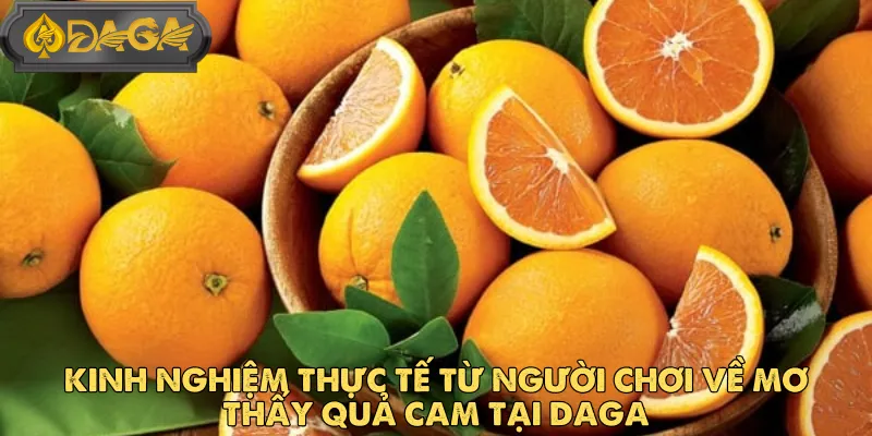 Sự Liên Kết Giữa Mơ Thấy Quả Cam Và Kết Quả Xổ Số DAGA