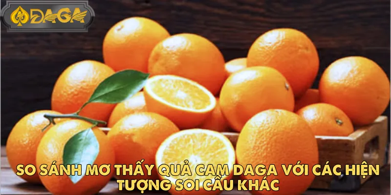 Sự Liên Kết Giữa Mơ Thấy Quả Cam Và Kết Quả Xổ Số DAGA